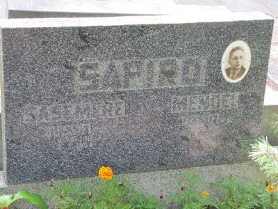 Schapiro Mendel
