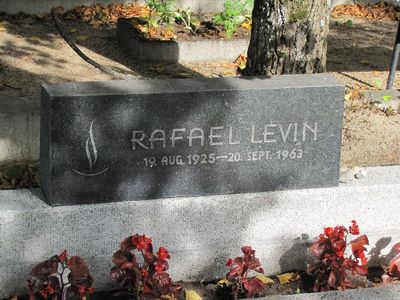 Levin Rafael
