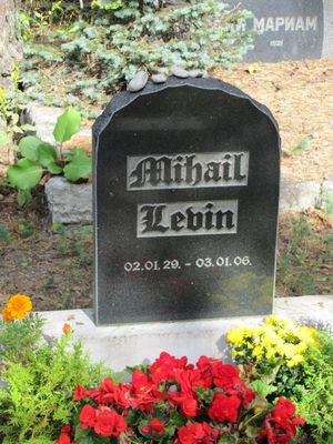 Levin Mihail
