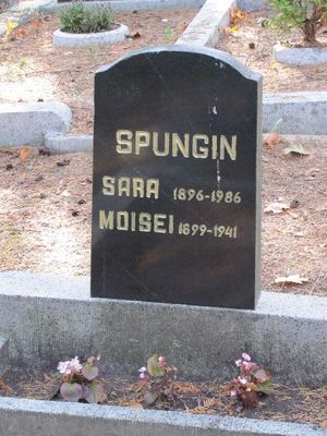 Spungin
