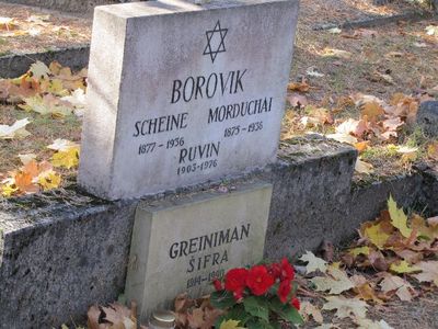 Borovik Greiniman
