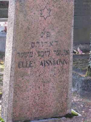 Aismann Ella
