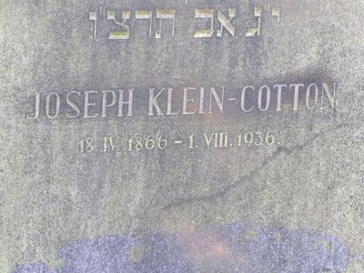 Klein-Cotton
