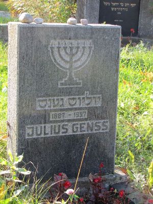 Gens Julius
