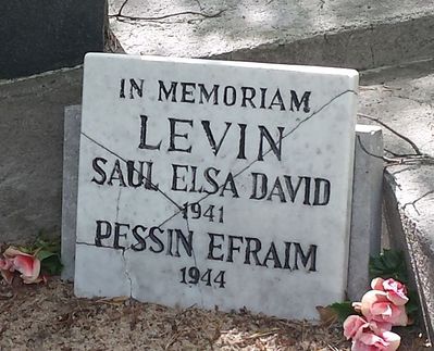 Levin Pessin
