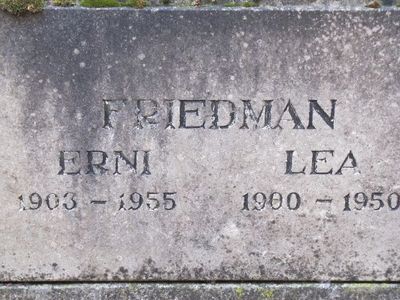 Friedman
