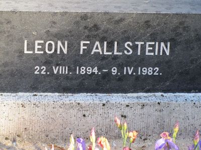 Fallstein
