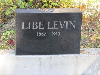 Levin Libe
