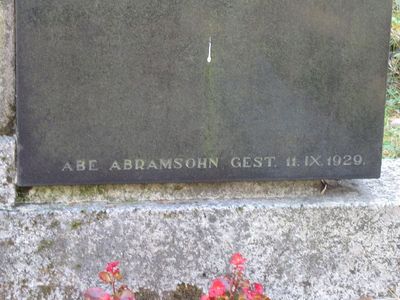 Abramson Abe
