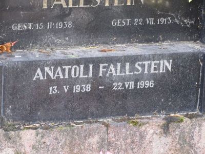 Fallstein
