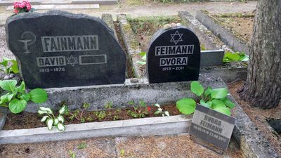 Fainman Feiman
