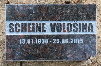 Voloschin Scheine
