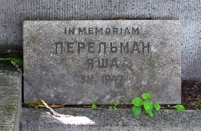 Perlman Jakov
