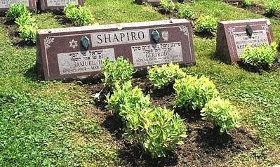 Shapiro Samuel Harvey (Israel) - 1907-1987 - the Governor of Illinois
Waldheim Jewish Cemetery
Forest Park
Cook County
Illinois, USA
