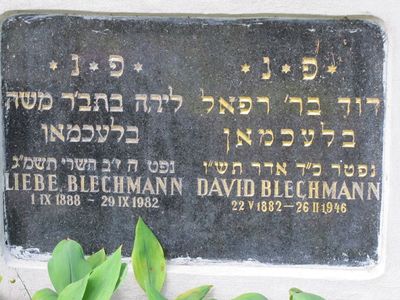 Blechmann David & Liebe
