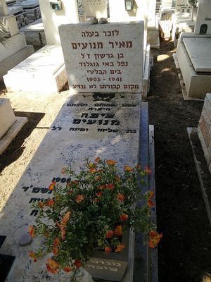 Manoim (Hasak) Zilla and Meir (in memoriam)
