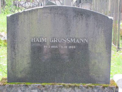 Grossman Haim
