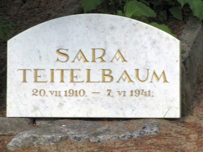 Teitelbaum Sara (2013)
