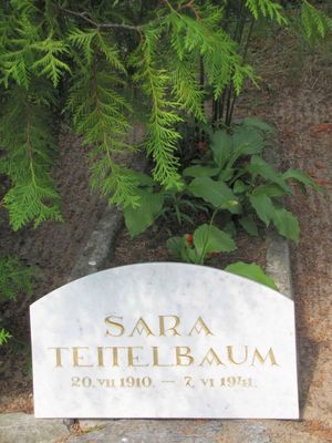 Teitelbaum Sara (2013)
