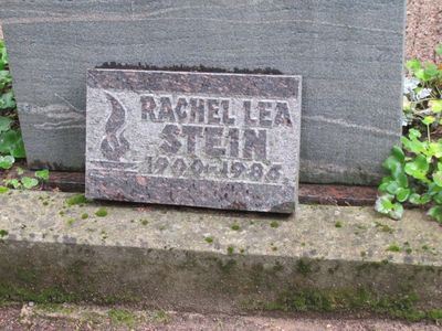 Stein Rachel Lea
