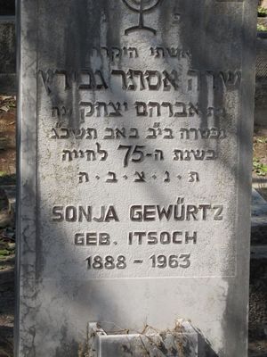 Gewürtz (Itzoch) Sonja (Sara)
K. Tivon cemetery
