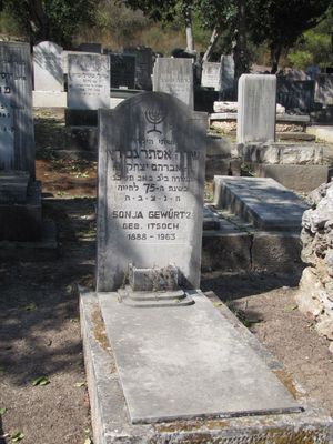 Gewürtz Sonja (Sara)
K. Tivon cemetery
