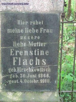 Flachs Erenstine
