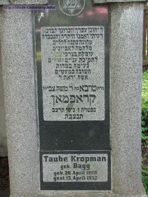 Kropman Taube
