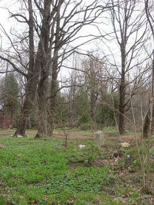 24.4.2012. The remaining stone can be seen.
