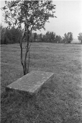 1. Picture of the burial stone taken in 1964 by V. Ranniku
