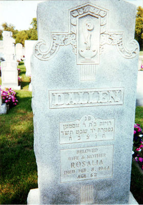 Dolinsky - Rosalia Dallen (Dolinsky, nee Finkelstein) grave (1882-8.2.1944). 
Detroit, MI
