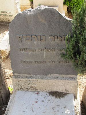 Gurevitsch (Gurvits) Meir 
