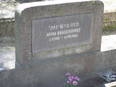 Braschinsky Anna
