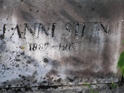 Stein Fanni
