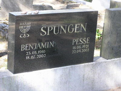 Spungen
