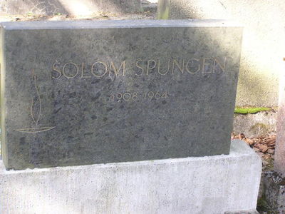 Spungen
