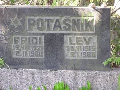 Potaschnik
