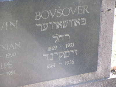 Bovschover
