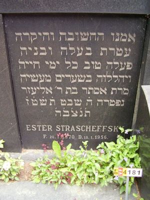 Straschefsky (Lasarev) Esther
