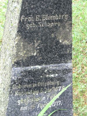 Blumberg (Schapiro)
