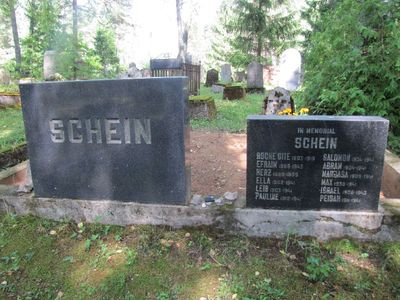 Schein
