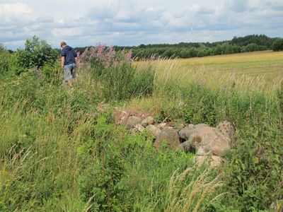 2. The old stone fence
