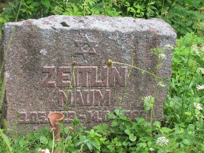 Zeitlin
