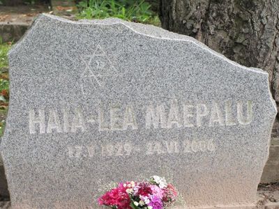 Mäepala
