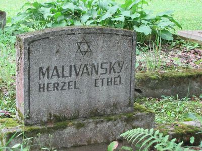 Malivansky
