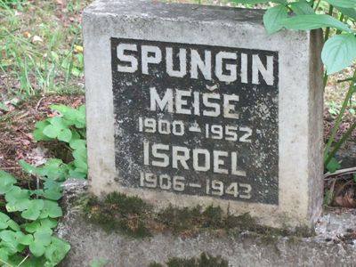 Spungin
