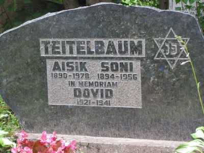 Teitelbaum
