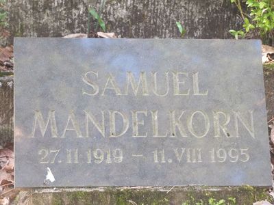 Mandelkorn Samuel
