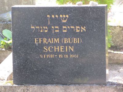 Schein Efraim (Bubi)
