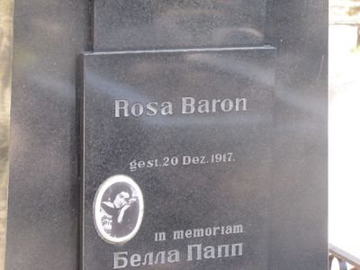 Baron Reise (Rosa) Bella
